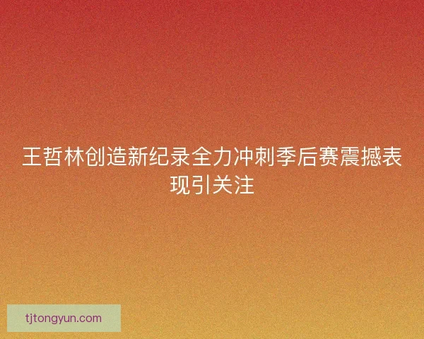 王哲林创造新纪录全力冲刺季后赛震撼表现引关注